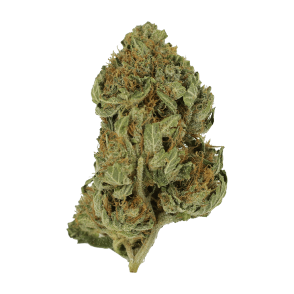 Bubblegum – 1 ounce | CannaBudget Canada