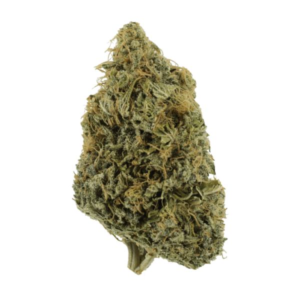 NYC Diesel | CannaBudget Canada