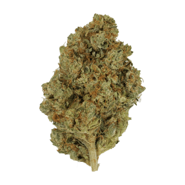 Nepalese | CannaBudget Canada