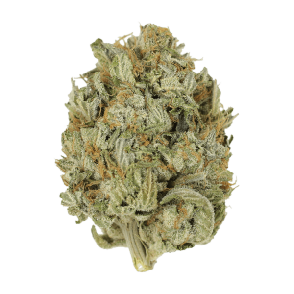 Blue Dream (Popcorn) | CannaBudget Canada