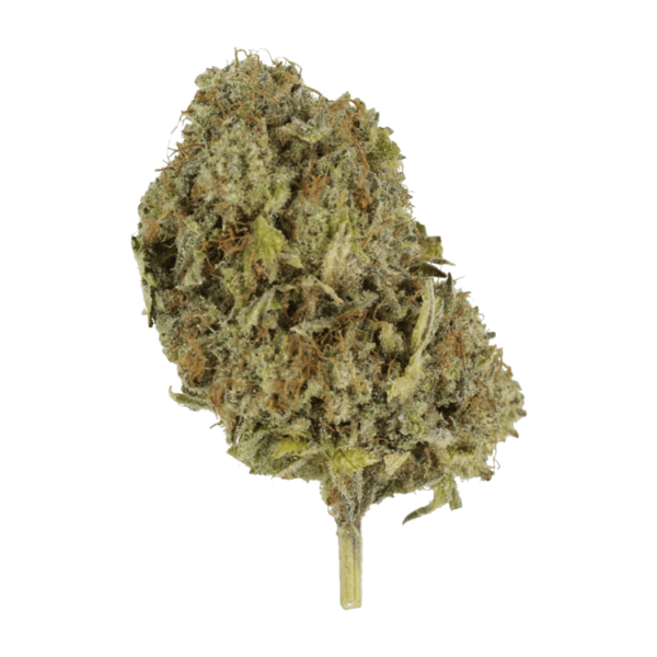 God’s Green Crack | CannaBudget Canada
