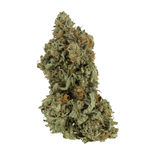 Bruce Banner #3 | CannaBudget Canada