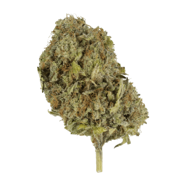 Chemo | CannaBudget Canada