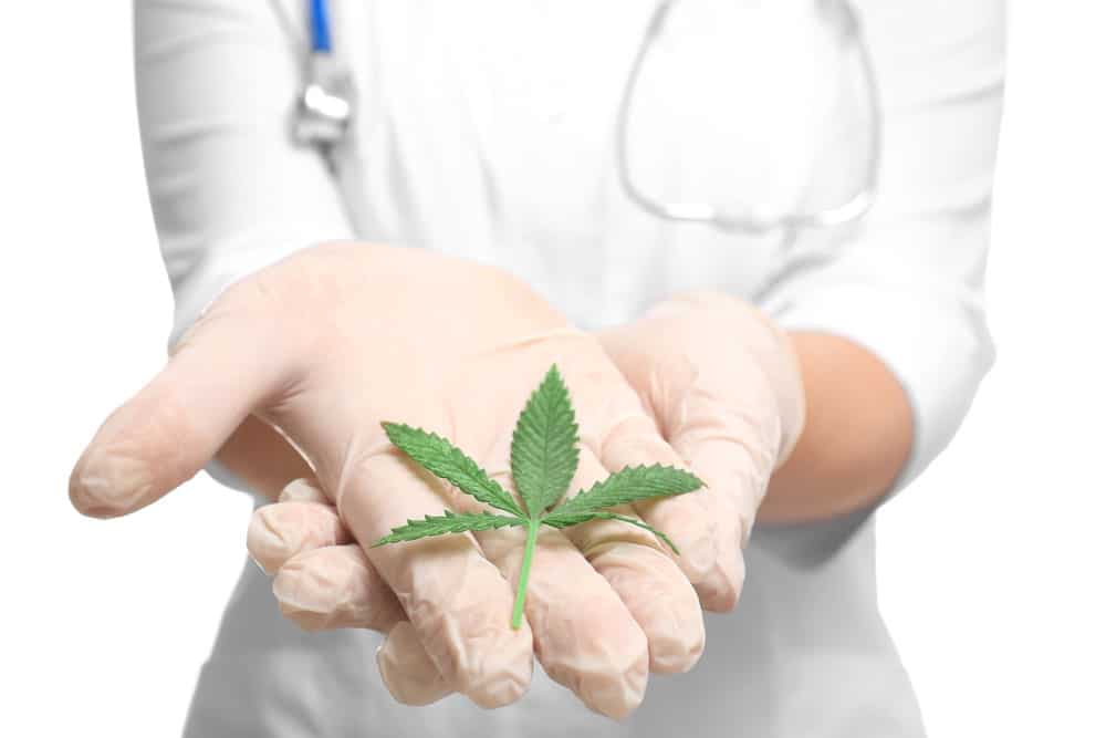 Cannabis as a natural cure for pain | CannaBudget Canada