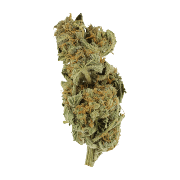 Gorilla Glue | CannaBudget Canada