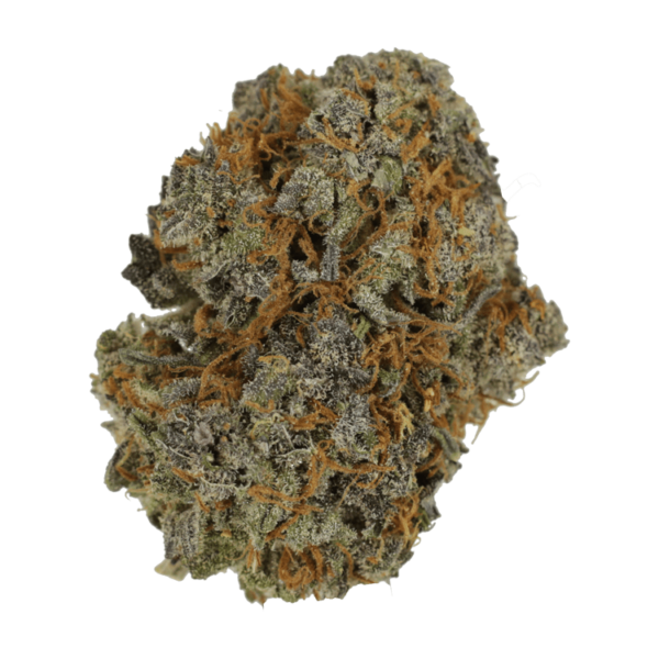 Jack Herer 1 Ounce | CannaBudget Canada