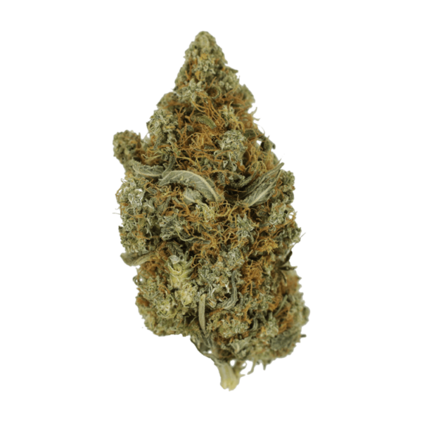 Jack Herer 1 Ounce | CannaBudget Canada