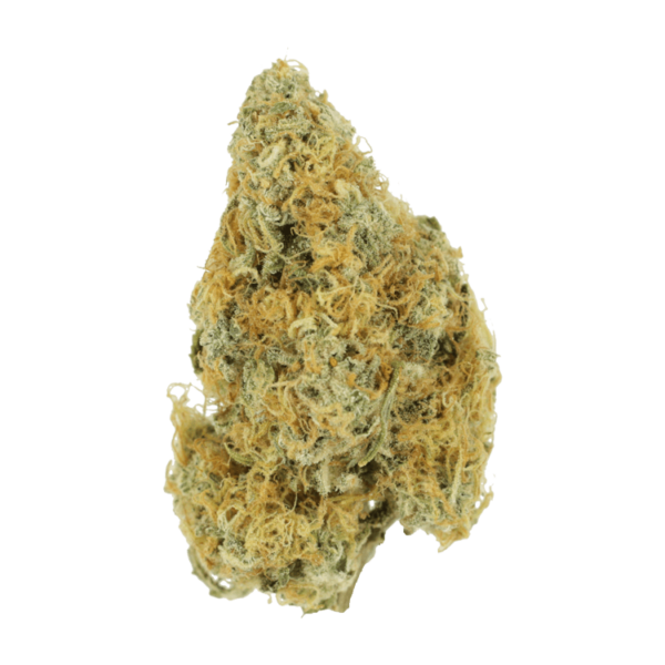 Alien OG (Popcorn) – 2OZ/$69 | CannaBudget Canada