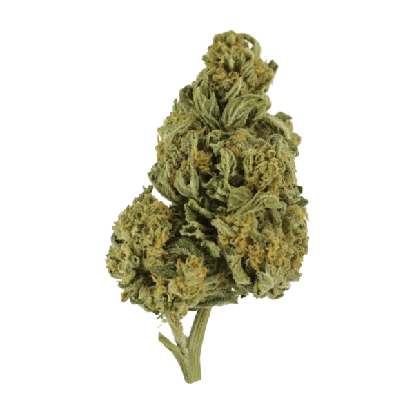 Blackwater | CannaBudget Canada