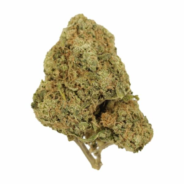 Tangerine Dream | CannaBudget Canada