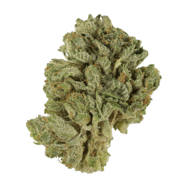 Northern Lights 2 for $69 | CannaBudget Canada