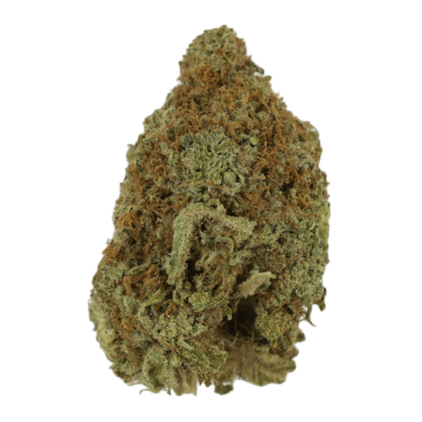 Mango Haze | CannaBudget Canada