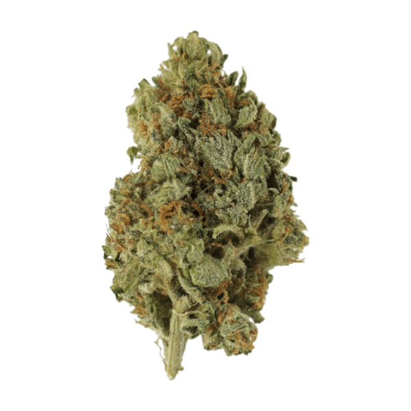 Sugar Cookies | CannaBudget Canada