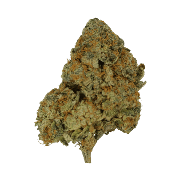 9lb Hammer | CannaBudget Canada
