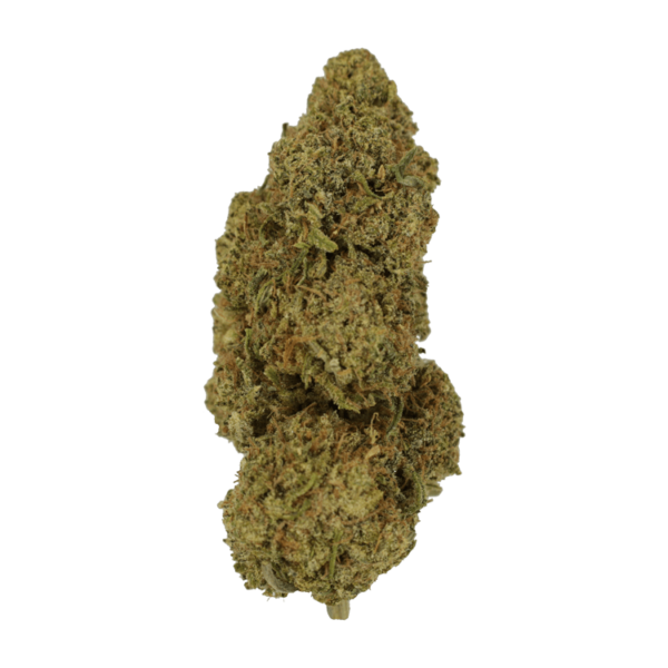 9lb Hammer | CannaBudget Canada