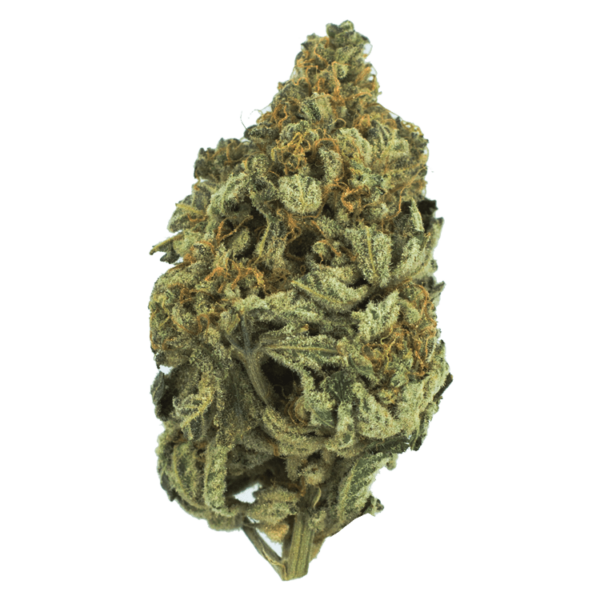Bakerstreet | CannaBudget Canada