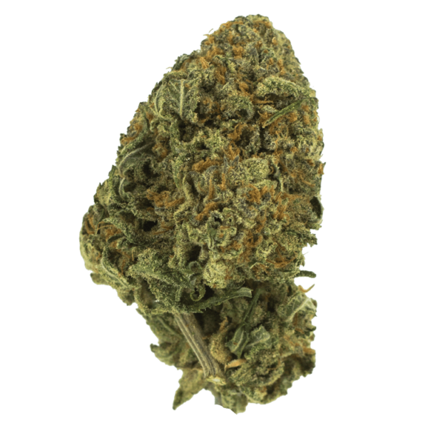 Black Nuken | CannaBudget Canada