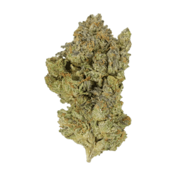 Golden Goat | CannaBudget Canada