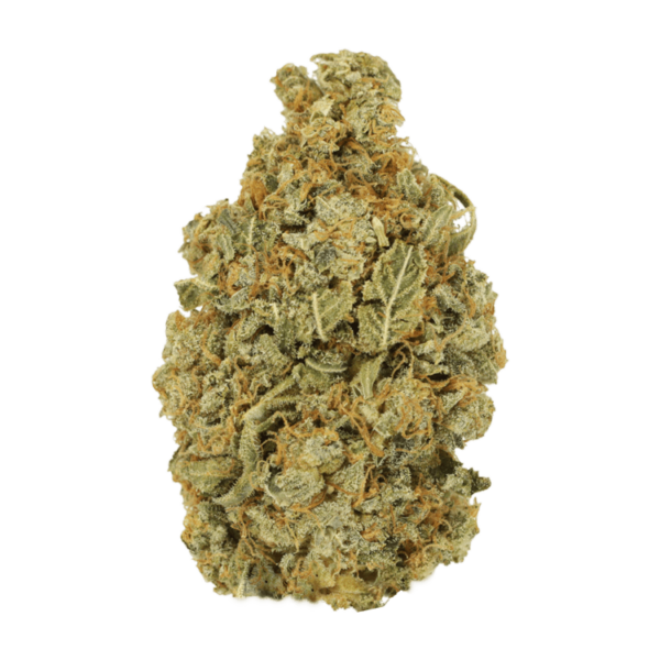Maui Wowie | CannaBudget Canada