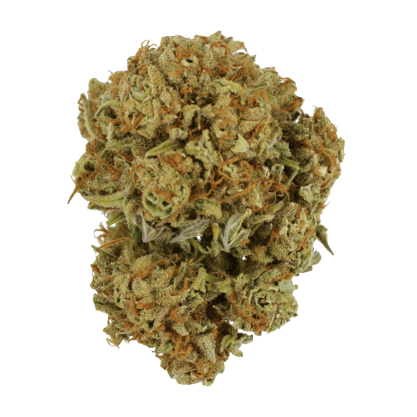 Maui Wowie | CannaBudget Canada