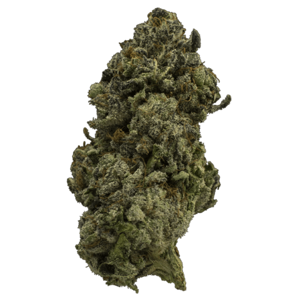 Fire Alien Urkle | CannaBudget Canada