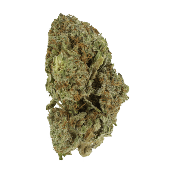 Gelato Sorbet – 1 ounce | CannaBudget Canada