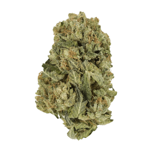 Black Domina | CannaBudget Canada