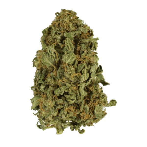 Apricot Kush – $35/oz | CannaBudget Canada