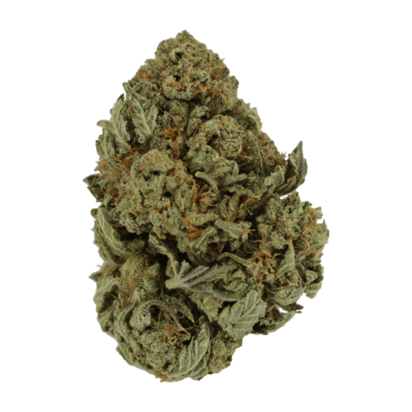Master Kush Ultra | CannaBudget Canada