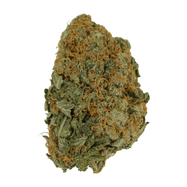 Master Kush Ultra | CannaBudget Canada