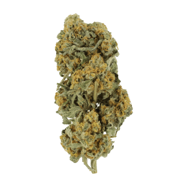 Miracle Alien Cookies | CannaBudget Canada