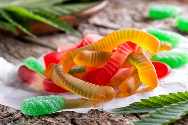 MOTA Edibles Bundles – SAVE 10% | CannaBudget Canada