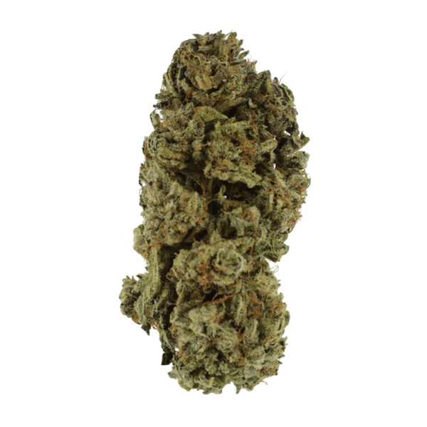 Black Kush – 1 ounce | CannaBudget Canada