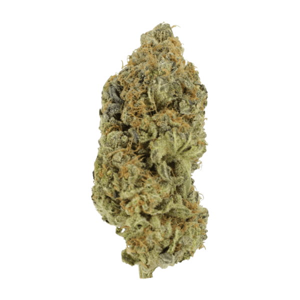 Critical Widow | CannaBudget Canada