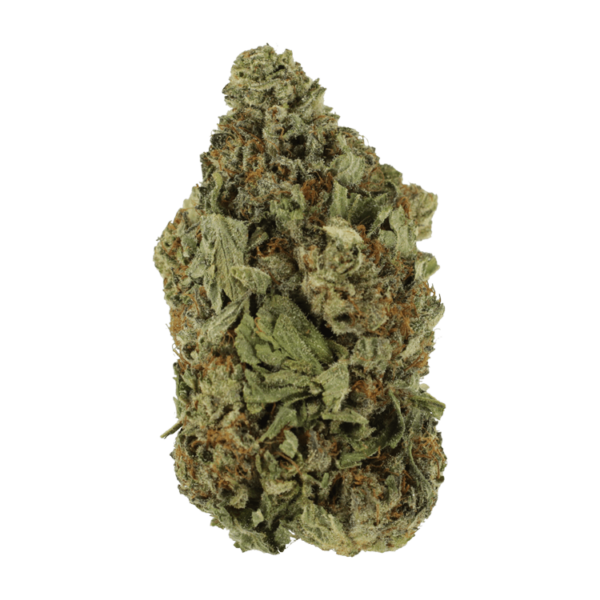 Shishkaberry | CannaBudget Canada