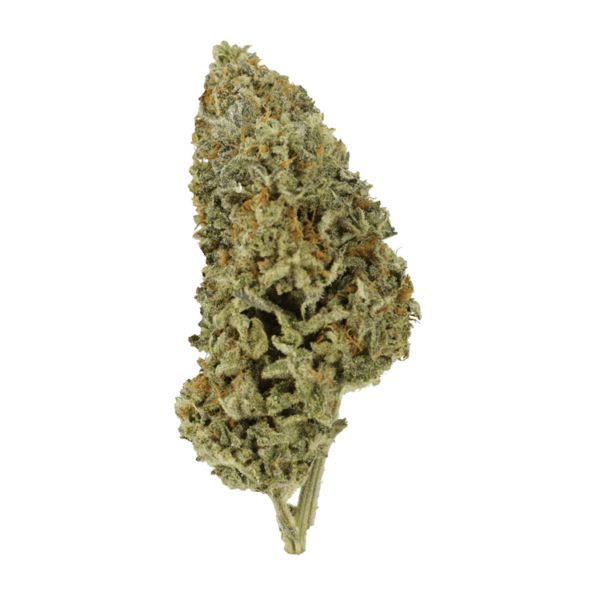 Super Silver Sour Diesel | CannaBudget Canada