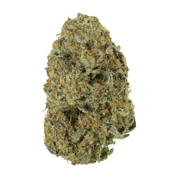 Northern Haze Express | CannaBudget Canada