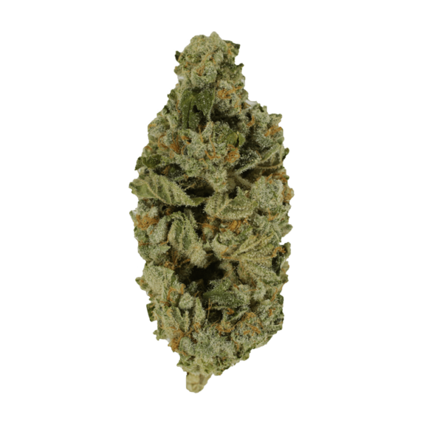 Crazy Glue | CannaBudget Canada