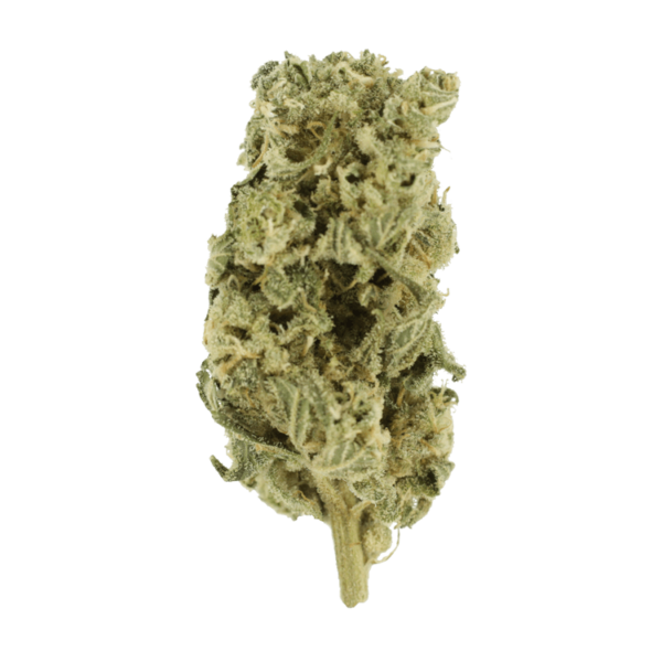 Romulan Hashplant | CannaBudget Canada