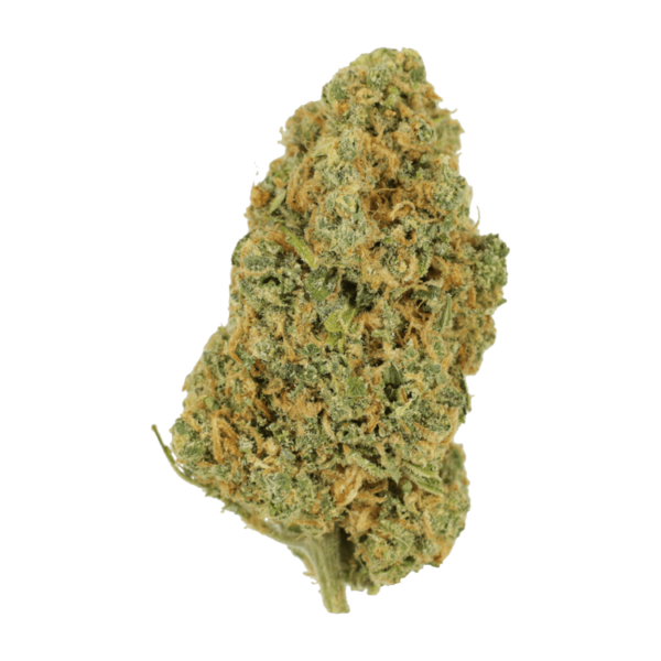 Lemon Bomb | CannaBudget Canada