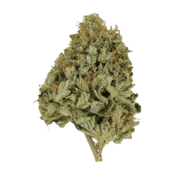 Pineapple Kush | CannaBudget Canada