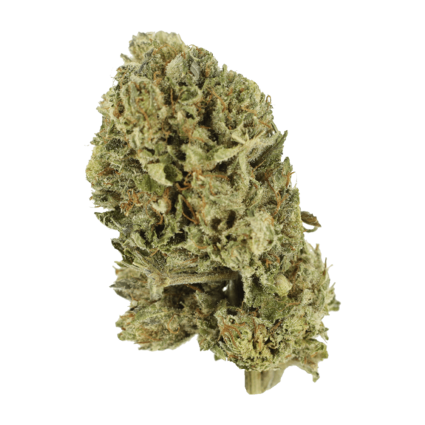 Purple OG Kush – 1 ounce | CannaBudget Canada