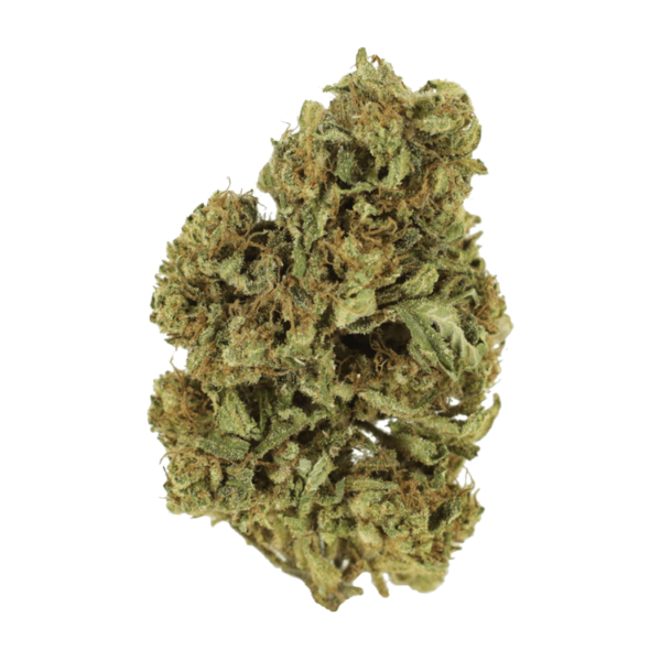 Cherry Wine (CBD) | CannaBudget Canada