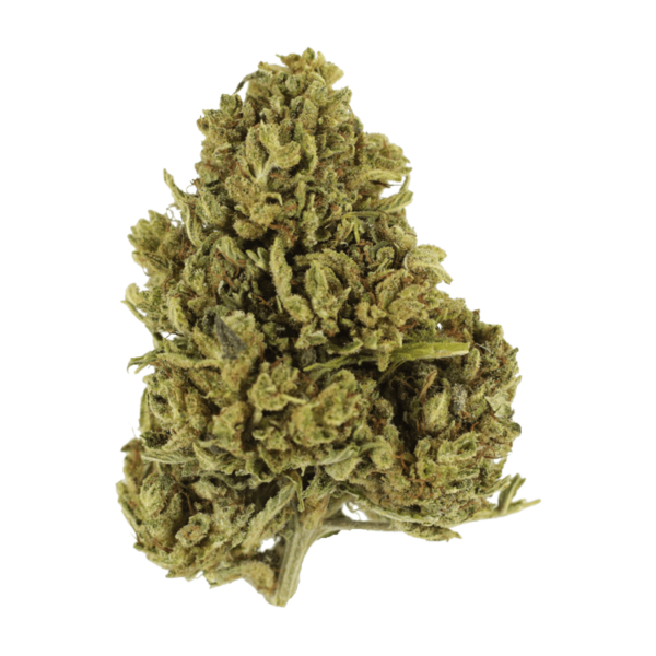 Cherry Wine (CBD) | CannaBudget Canada