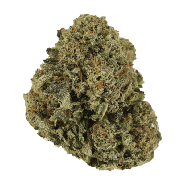 Blue Haze | CannaBudget Canada