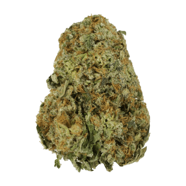 High School Sweetheart | CannaBudget Canada