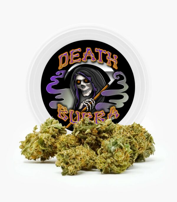 Westcoast Cali Tins – Premium Flower – Skywalker OG – 3.5g | CannaBudget Canada