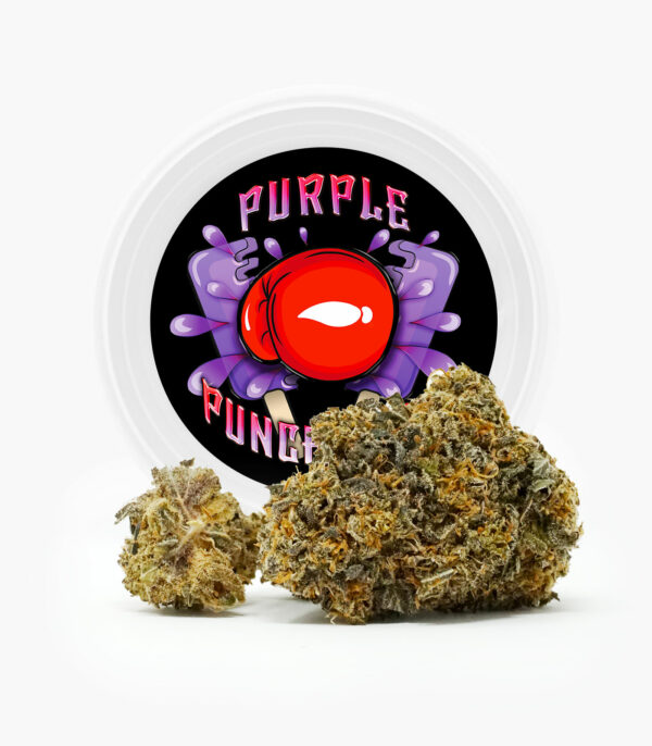 Westcoast Cali Tins – Premium Flower – Purple Punchsicle – 14g | CannaBudget Canada