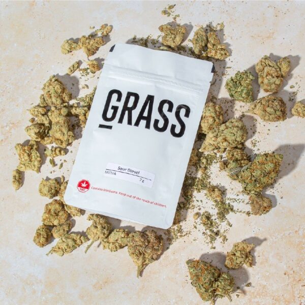1/2OZ Sample Pack (AAA) – SAVE 20% | CannaBudget Canada