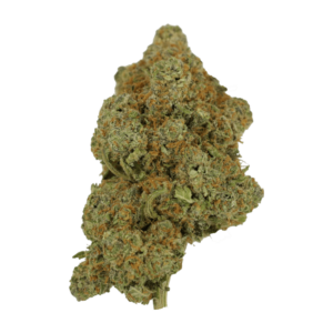 Tropicana Cookies | CannaBudget Canada